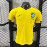 Seleção Brasileira Titular 26-27 Player