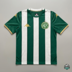 Chapecoense Titular 26-27 Torcedor